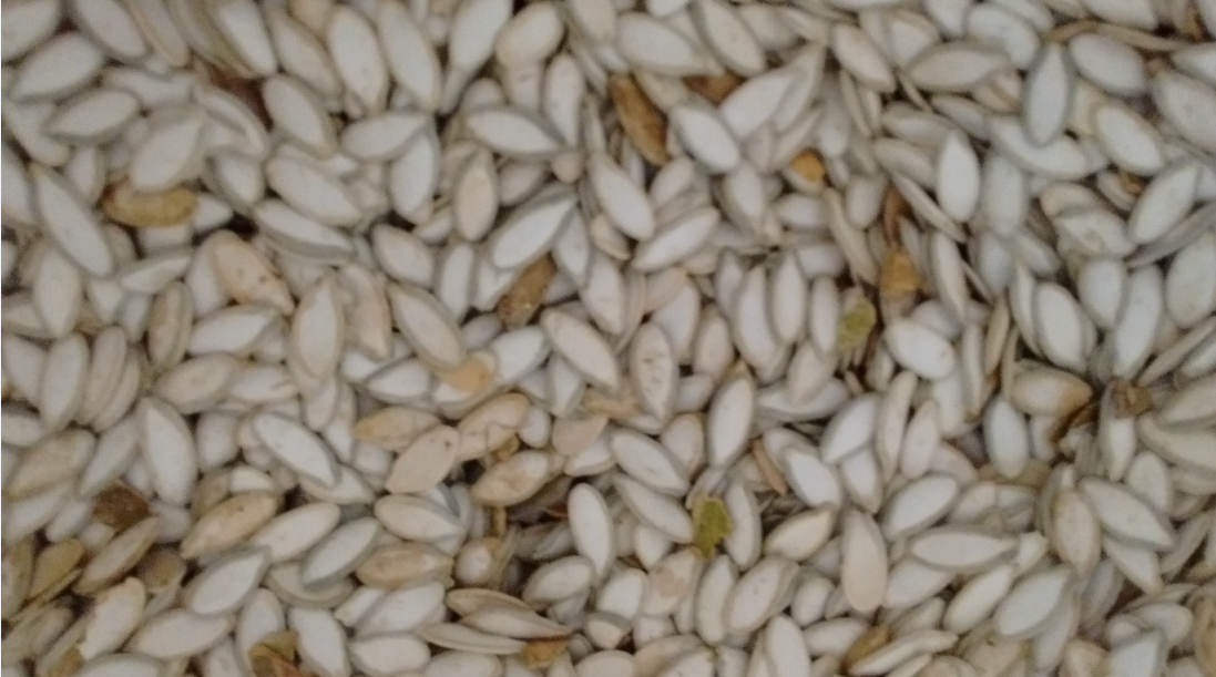 Sepromsa